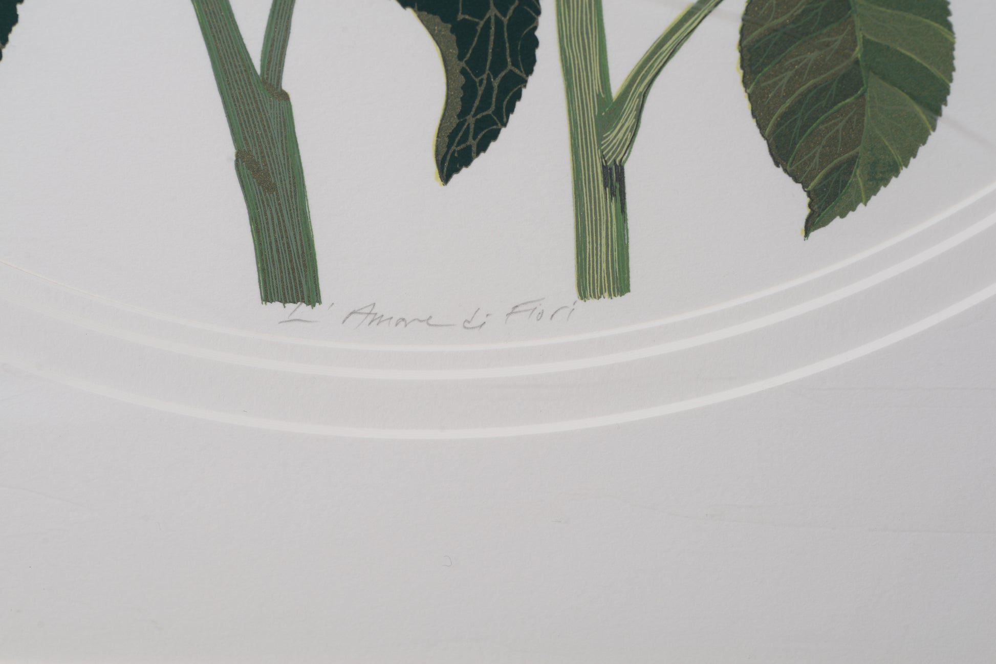 Illustration of green leaves and stems on a white background