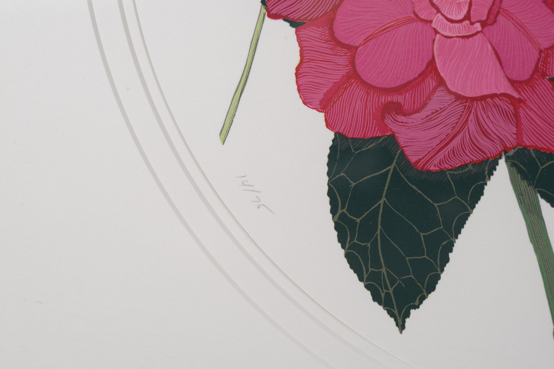 Close-up of a pink flower with green leaves on a light gray background