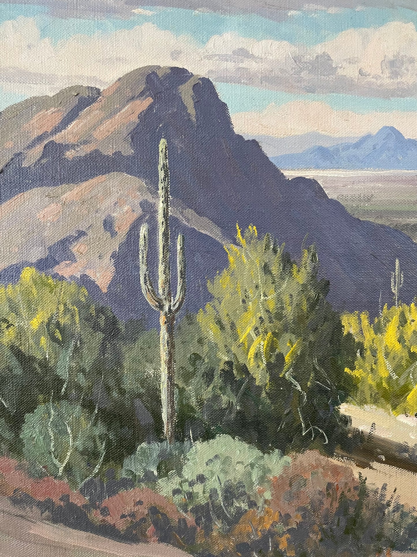 Carl Sammons, Southwestern Landscape